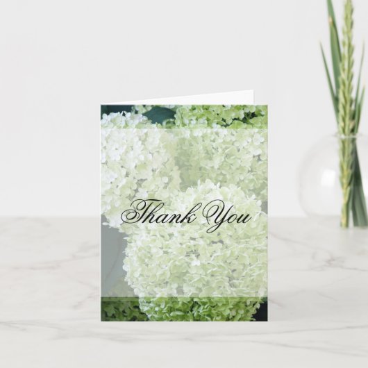 Annabelle Hydrangeas Dank u Bedankkaart (Voorkant)