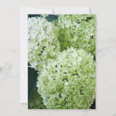 Annabelle Hydrangeas Vrijgezellenfeest Kaart (Achterkant)