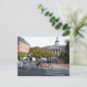 Annapolis Horse and Carriage Ride Briefkaart (Staand voorkant)