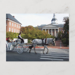 Annapolis Horse and Carriage Ride Briefkaart