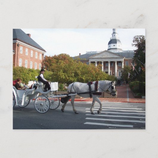Annapolis Horse and Carriage Ride Briefkaart (Voorkant)