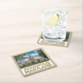 Annapolis Maryland Onderzetter Set (Insitu)