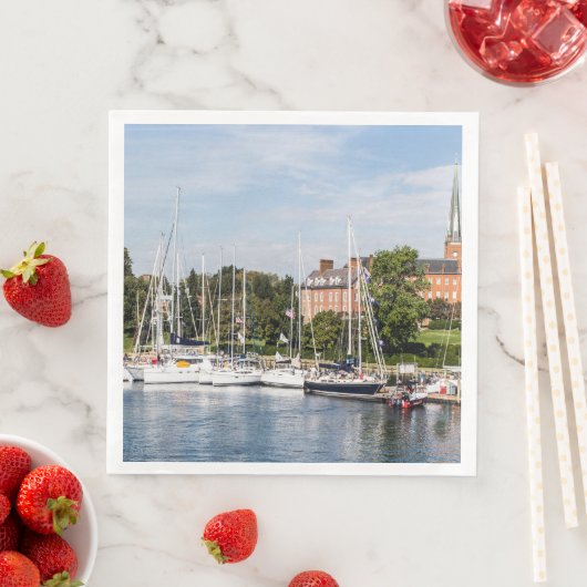 Annapolis Waterfront Servet (Insitu)