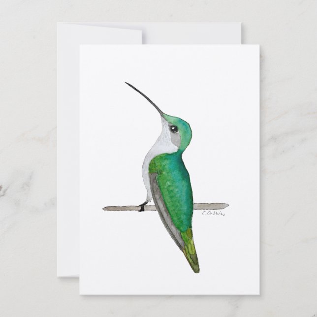 Anna's Hummingbird (Voorkant)