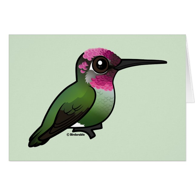 Anna's Hummingbird (Voorkant Horizontaal)
