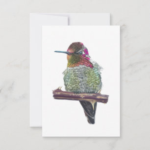 Anna's Hummingbird Briefkaart-stijl Note Kaart Notitiekaartje