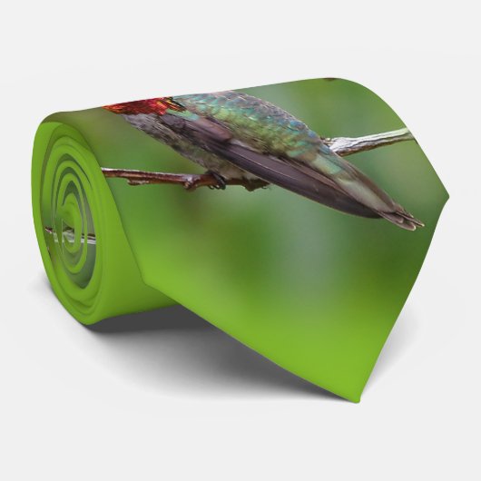 Anna's Hummingbird: Deze koning draagt een roze kr Stropdas (Opgerold)