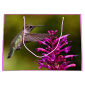Anna's Hummingbird die voor Anise Hyssop hangt Groot Cadeauzakje (Voorkant)