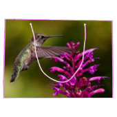Anna's Hummingbird die voor Anise Hyssop hangt Groot Cadeauzakje (Achterkant)