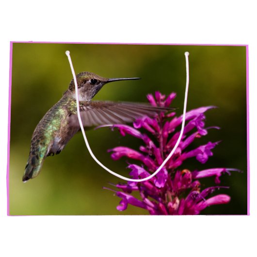 Anna's Hummingbird die voor Anise Hyssop hangt Groot Cadeauzakje (Achterkant)