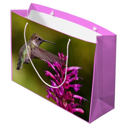 Anna's Hummingbird die voor Anise Hyssop hangt Groot Cadeauzakje (Achterkant Gekanteld)