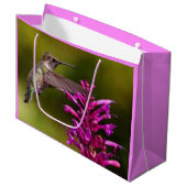 Anna's Hummingbird die voor Anise Hyssop hangt Groot Cadeauzakje (Voorkant Gekanteld)