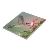 Anna's Hummingbird en Fuschia Tegeltje (Zijkant)
