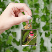 Anna's Hummingbird en Zijn Raspberry-Dipped Head Sleutelhanger (Hand)
