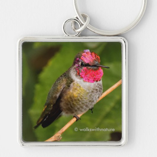 Anna's Hummingbird en Zijn Raspberry-Dipped Head Sleutelhanger (Voorkant)
