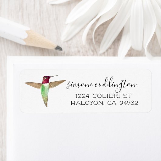 Anna's Hummingbird Etiket (Insitu)