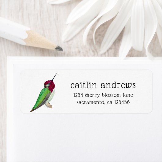 Anna's Hummingbird Etiket (Insitu)