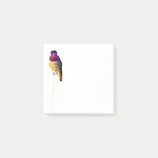 Anna's Hummingbird Foto 3x3 Notitieblok Post-it® Notes (Voorkant)
