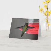 Anna's Hummingbird Frameable Art Kaart (Gele Bloem)