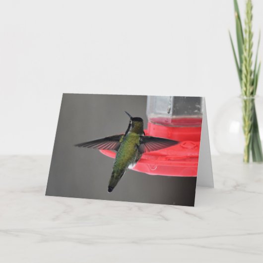 Anna's Hummingbird Frameable Art Kaart (Voorkant)