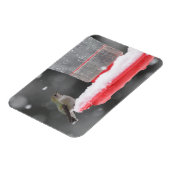 Anna's Hummingbird in de sneeuw Magneet (Linkerzijde)