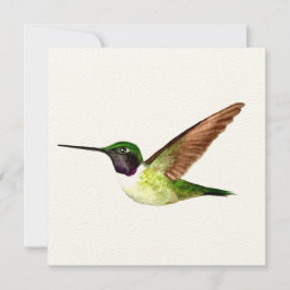 Anna's Hummingbird in vlucht Bedankkaart