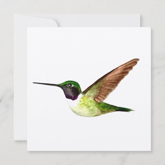 Anna's Hummingbird in vlucht Bedankkaart (Voorkant)