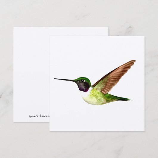 Anna's Hummingbird in vlucht Bedankkaart (Voorkant / Achterkant)