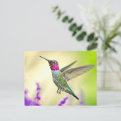 Anna's Hummingbird in vlucht Briefkaart (Staand voorkant)