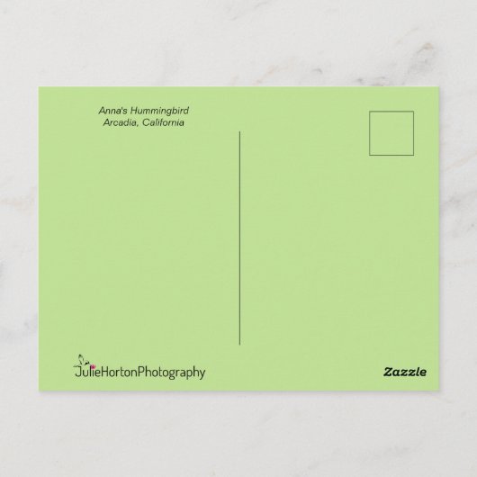 Anna's Hummingbird in vlucht Briefkaart (Achterkant)