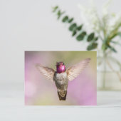 Anna's Hummingbird in vlucht Briefkaart (Staand voorkant)