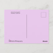 Anna's Hummingbird in vlucht Briefkaart (Achterkant)