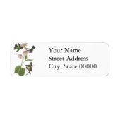 Anna's Hummingbird, James Audubon Etiket (Voorkant)