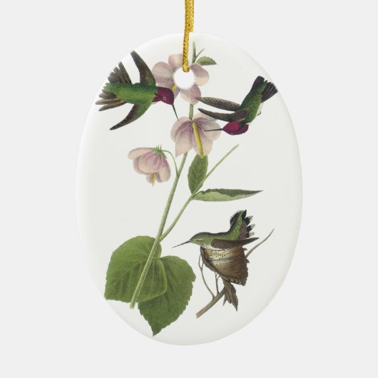 Anna's Hummingbird, James Audubon Keramisch Ornament (Voorkant)
