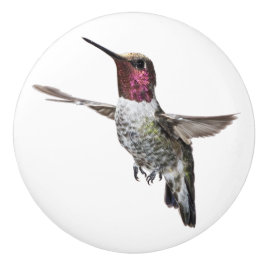 Anna's Hummingbird knob Keramische Knop
