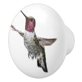 Anna's Hummingbird knob Keramische Knop (Rechts)
