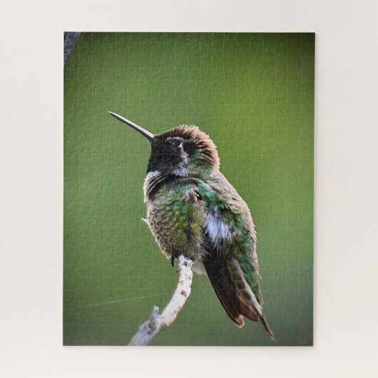 Anna's Hummingbird Legpuzzel (Verticaal)