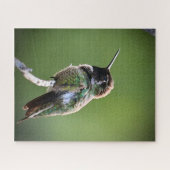 Anna's Hummingbird Legpuzzel (Horizontaal)