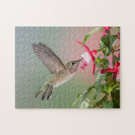 Anna's Hummingbird Legpuzzel