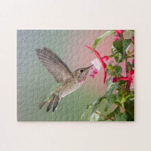 Anna's Hummingbird Legpuzzel (Horizontaal)