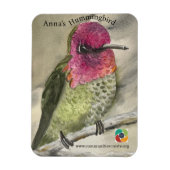 Anna's Hummingbird magneet (Verticaal)