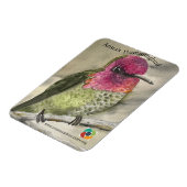 Anna's Hummingbird magneet (Linkerzijde)