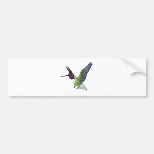 Anna's Hummingbird Male Bumpersticker (Voorkant)