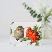 Anna's Hummingbird met Oranje Pyracantha Berries Briefkaart (Staand voorkant)