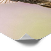 Anna's Hummingbird Mooi Roze, Paars en groen Poster (Hoek)