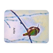 Anna's Hummingbird op Branch Pastel Colors Magneet (Horizontaal)