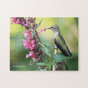 Anna's Hummingbird op de Anise Hyssop Flowers Legpuzzel