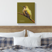 Anna's Hummingbird op de Scarlet Trumpetvine Canvas Afdruk (Insitu (Slaapkamer))