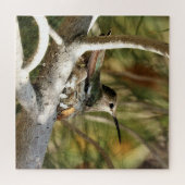 Anna's Hummingbird op Nest Legpuzzel (Horizontaal)