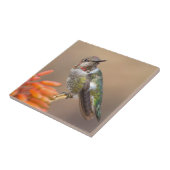 Anna's Hummingbird op Oranje Aloe Blossom Tegeltje (Zijkant)